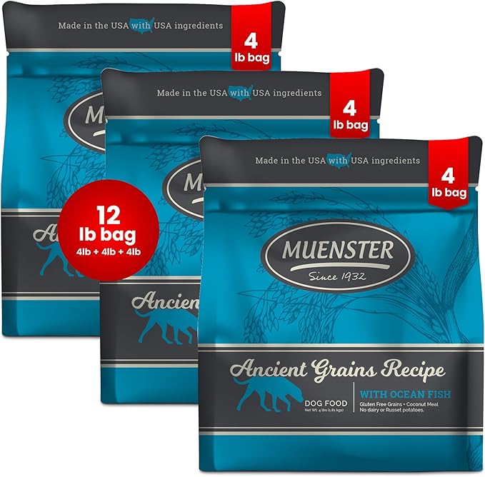 Muenster Ancient Grains Ocean Fish Dry Dog Food, 12lb (Pack of 3) - Gluten-Free, High Protein, Digestive Support