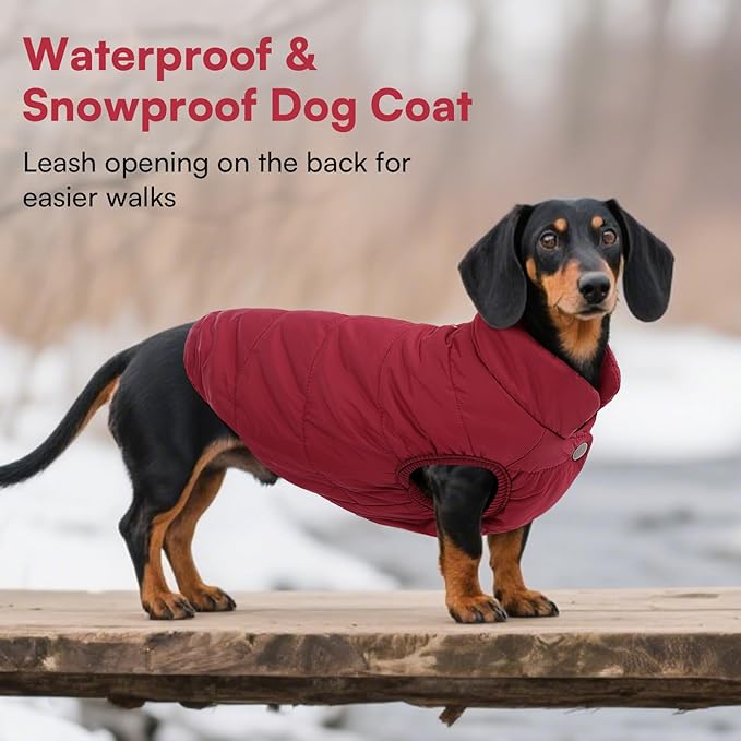 ASENKU Dog Winter Coat - Waterproof Windproof Dog Jacket, Warm Snowproof Doggie Puffer Vest for Cold Weather, Lightweight Snow Coats for Small Medium Large Dogs(S, Red)