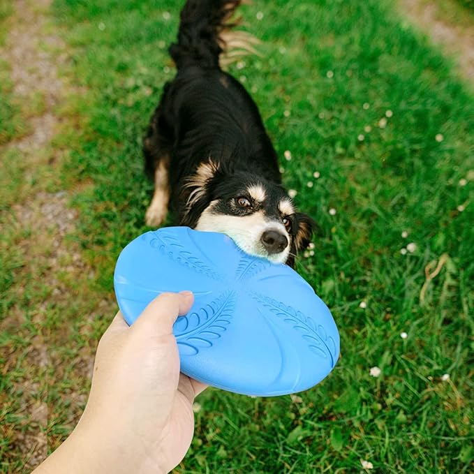 Nobleza 2 Pack Dog Flying Disc Flexible Floatable Dog Disc Toy for Long-Distance Flies and Floats， Lightweight Soft Flying Discs Toy for Small Medium Large Dogs to Fetch & Catch， Blue & Green