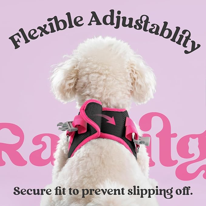 rabbitgoo Dog Harness Small Sized and Leash Set, Step-in Breathable Pet Harness, Soft Walking Reflective Puppy Vest for Small Dogs, Black & Rose Red, S