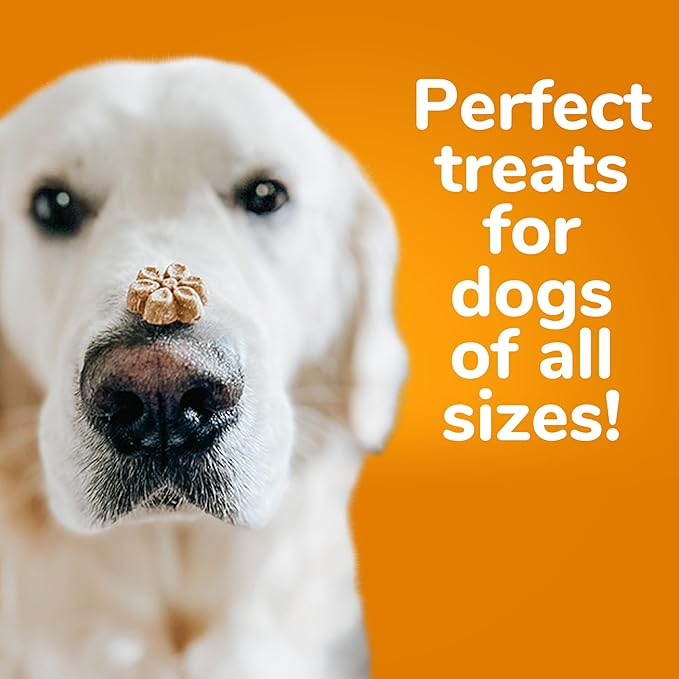 Fruitables Baked Dog Treats, Healthy Pumpkin Snacks for Dogs, Low Calorie & Delicious, No Wheat, Corn or Soy, Puppy Training Treats, Made in the USA, Pumpkin and Cranberry Flavor, 7oz