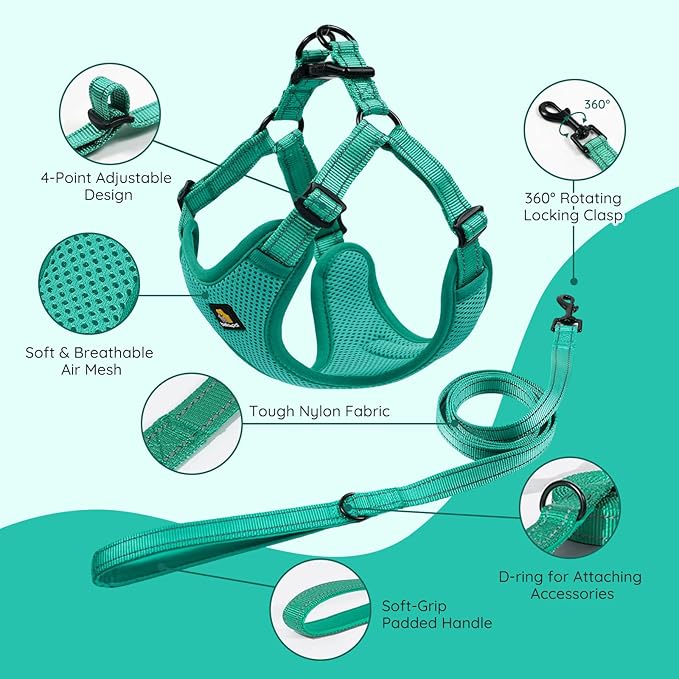 BELLA & PAL Adjustable Step-in Dog Harness, Puppy No-Pull Vest with Leash Set for XS/Small & Medium Dog, Breathable All-Weather Mesh, Reflective Strip, Secure Hook & Loop, Buckle Closure, Dual D-Rings