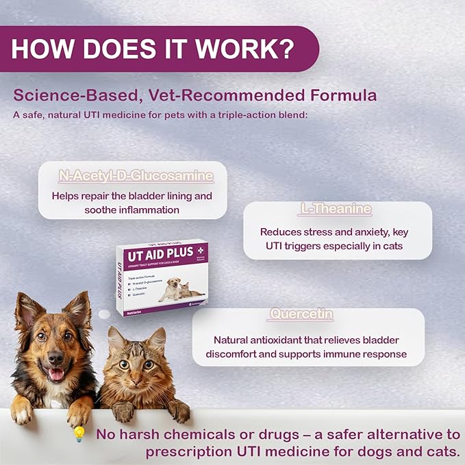Natural UTI Treatment for Cats & Dogs – Antibiotic-Free Urinary Tract Infection Support Supplement – Bladder & Kidney Health – Incontinence Prevention – 30 Capsules