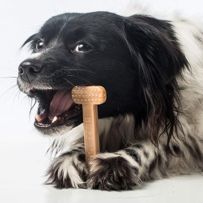 Bullibone Nylon Dog Chew Toy Nylon Bone - Improves Dental Hygiene, Easy to Grip Bottom, and Permeated with Flavor (Beef, Small - 2 Pack)