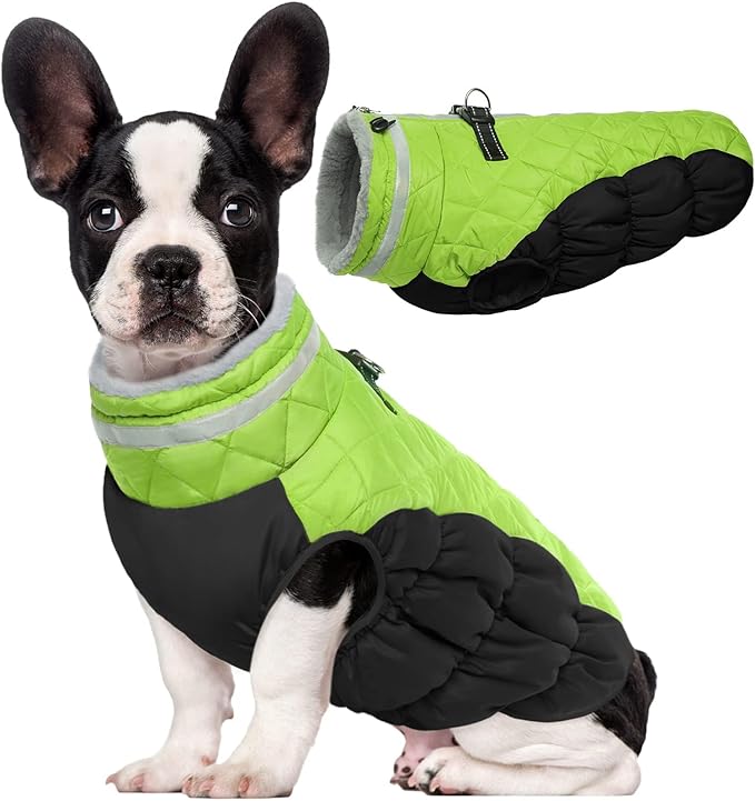 Lelepet Dog Coat Warm Dog Winter Coat Waterproof Dogs Jacket with Harness Built in Reflective Pet Fleece Vest Zip-Up Cold Weather Coats for Small Dogs Turtleneck & Windproof Coats Chihuahua Lime XS