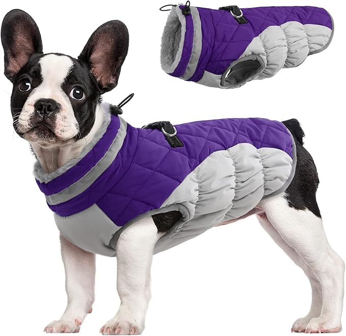 FUAMEY Dog Coat for Small Dogs,Waterproof Dog Winter Jacket with Harness Built in Puppy Cold Weather Coats Reflective Pet Vest with Zipper Warm Fleece Dogs Snowsuit Windproof Purple XS