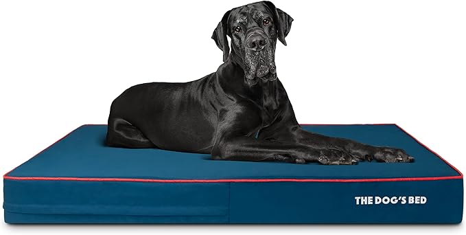 The Dog’s Bed Orthopedic Cooling Memory Foam Dog Bed, XXL Blue & Red Trim, Pain Relief for Arthritis, Hip & Elbow Dysplasia, Post Surgery, Lameness, Supportive, Calming, Waterproof Washable Cover