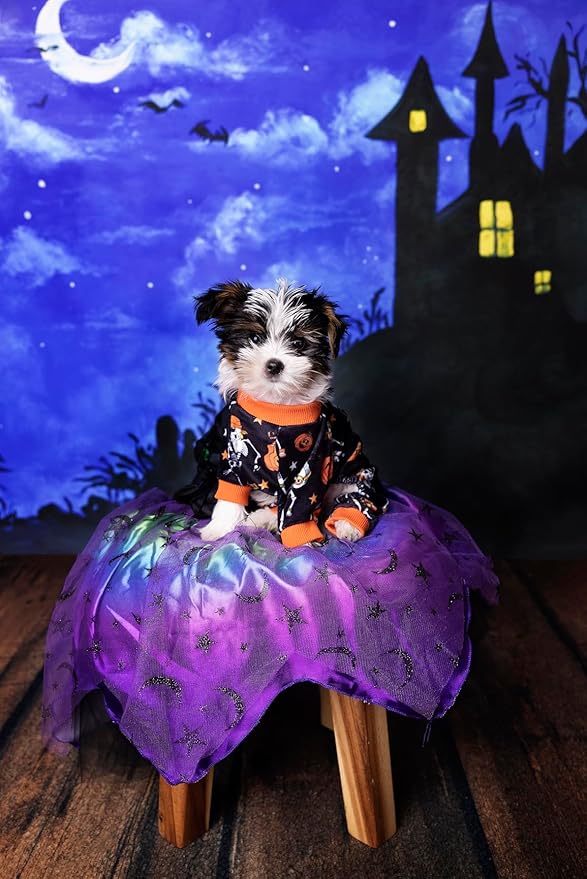 Fitwarm Halloween Skeleton Dog Costume Lightweight Velvet Pajamas Pet Clothes Doggie PJS Puppy Onesie Doggy Outfits Cat Jumpsuits Black XS