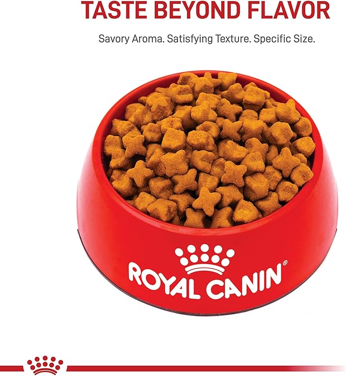 Royal Canin® Breed Health Nutrition German Shepherd Adult 5+ Dry Dog Food, 28 lb