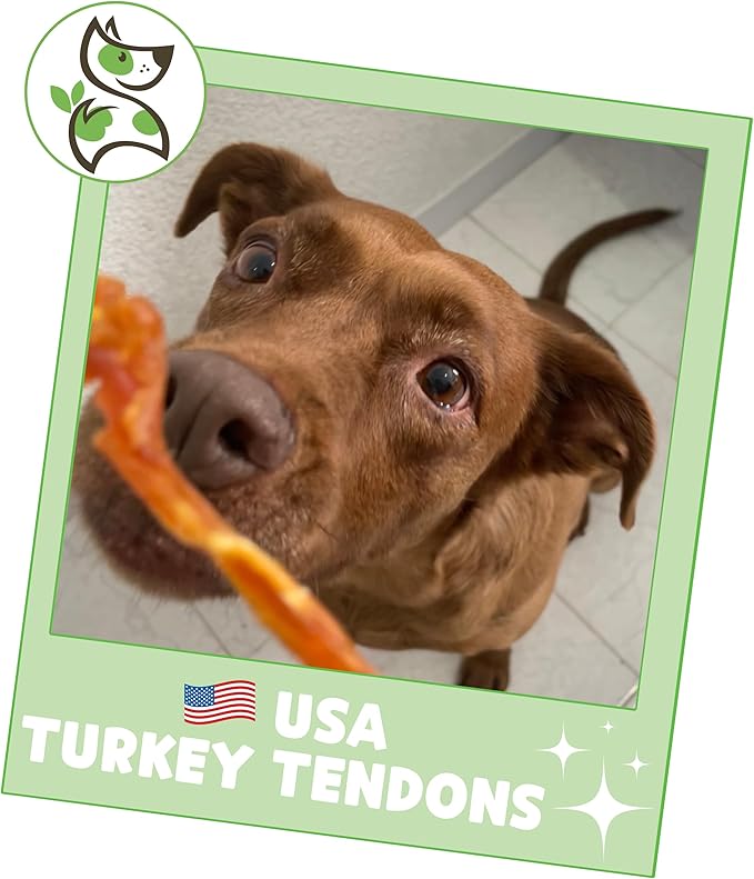 Nature Gnaws USA Turkey Tendons for Dogs (8oz) - Delicious Grain Free Reward Snack for Small, Medium & Large Breeds - Premium Natural Dog Chew Treats