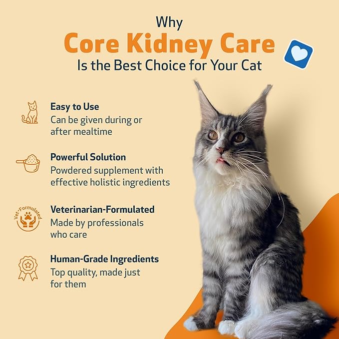 Pet Wellbeing Core Kidney Care for Cats - Daily Phosphate Binder, Supports Healthy Kidney Function with FOS, Chitosan, Probiotics - Veterinarian-Formulated 5.08 oz (144 g) Powder