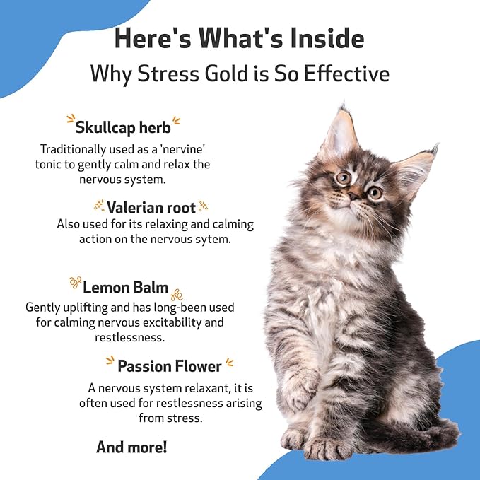 Pet Wellbeing Stress Gold for Cats - Vet-Formulated Situational Feline Stress Support - Fast-Acting Vet Visits, Travel, Grooming - Cat-Safe Holistic Herbal Blend - Liquid Support 2 oz (59ml)
