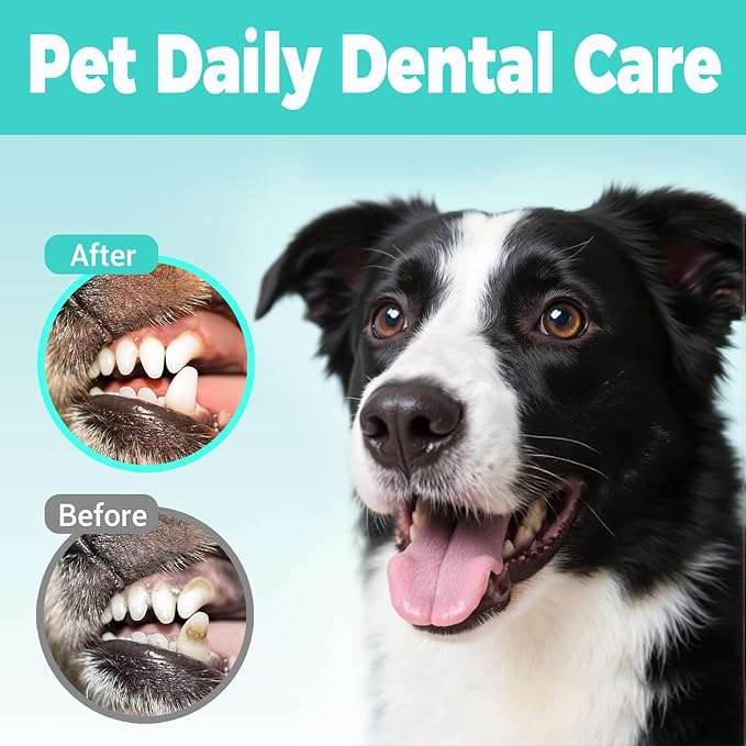 Teeth Cleaning Finger Wipes for Dogs & Cats，Dental Cleaning Wipes for Dogs and Cats，Pet Teeth Cleaning Finger Wipes，Reduces Plaque and Freshens Breath, Removes Tartar, Disposable Wet Wipes 50ct