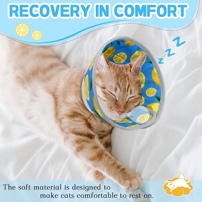 Cat Cone Collar Soft, Comfortable Cat Recovery Collar Pet Cone for Small Large Cats, Lightweight Elizabethan Collar for Cats Kittens After Surgery Prevent from Licking Wounds, Blue, S
