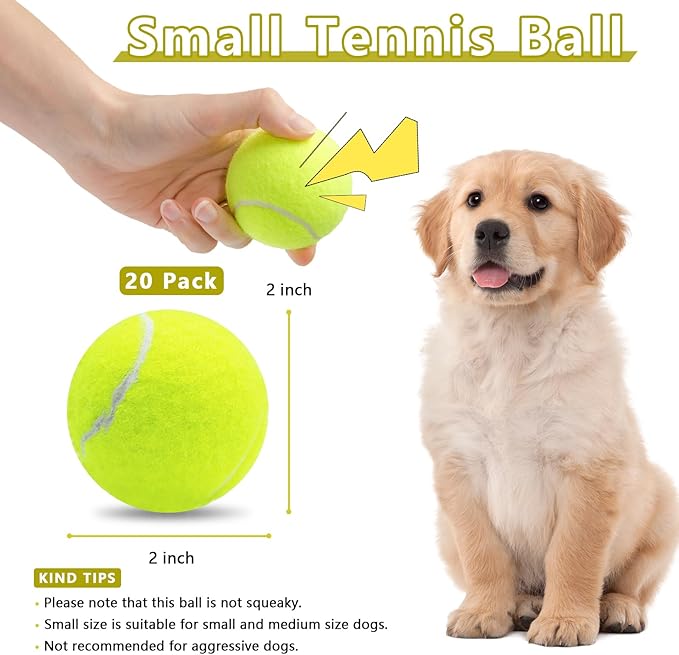 Magicorange 20 Pack Small Tennis Balls, 2 inch Squeaky Tennis Ball for Dogs,Colorful Easy Catching Squeaky Dog Balls with Mesh Bag for Easy Transport (Multicolor)