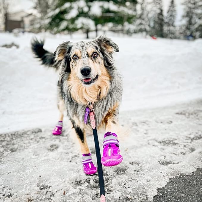 QUMY Dog Shoes for Large Dogs, Medium Dog Boots & Paw Protectors for Winter Snowy Day, Summer Hot Pavement, Waterproof in Rainy Weather, Outdoor Walking, Indoor Hardfloors Anti Slip Sole Purple Size 1