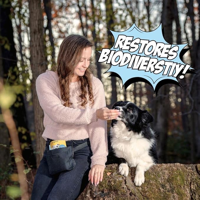 Chippin Fish Jerky Natural Dog Training Treats | Made in USA, Grain-Free, Hypoallergenic & Human-Grade Protein | Puppies & Senior Dogs | Low Fat (4-Pack, Wild-Caught Fish)