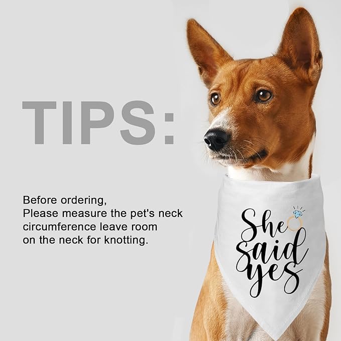 2 Packs My Humans are Getting Married She Said Yes Bandana for Wedding Engagement Photos, Bridal Shower Gift,Dog Wedding Outfit, Dog Engagement Announcement, Engagement Gifts