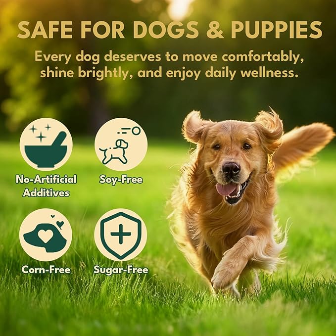 Liquid Collagen for Dogs, Natural Dog Collagen for Skin & Coat Support, Immune Support, Joint & Mobility Care with MSM, Middle-Aged and Older Dogs (Bacon Flavor - 60ml)