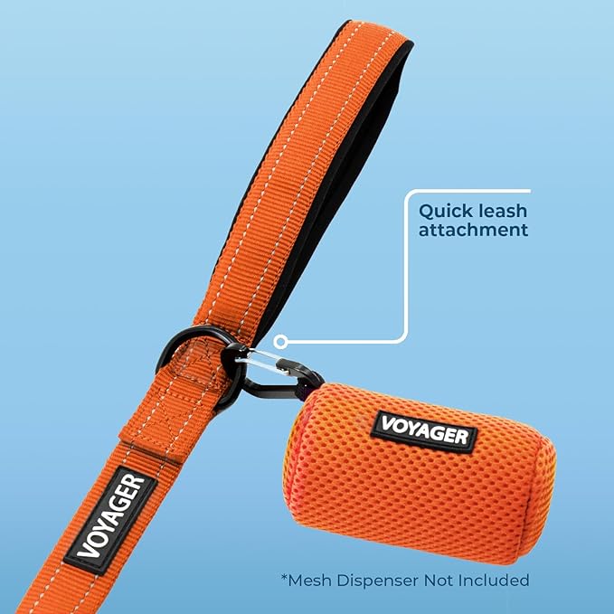 Voyager Reflective Dog Leash with Neoprene Handle, 5ft Long, Supports Small, Medium, and Large Breed Puppies, Cute and Heavy Duty for Walking, Running, and Training - Orange (Leash), L