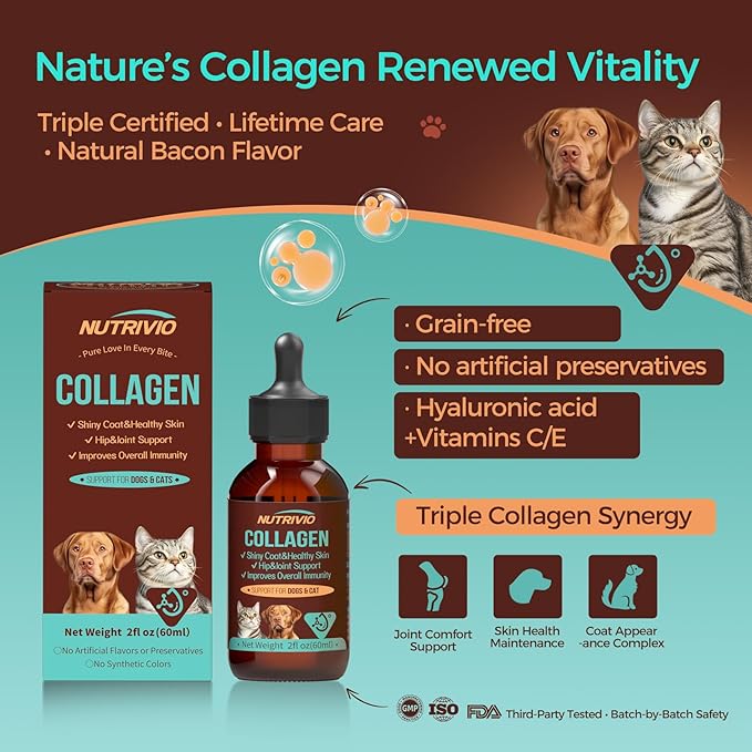 Liquid Collagen for Dogs and Cats-Hip and Joint Support, Itch Relief, Skin and Coat Supplement- Liquid Collagen with Multi-Vitamin for Dog, Immunity Boost- Bacon Flavor,60ml