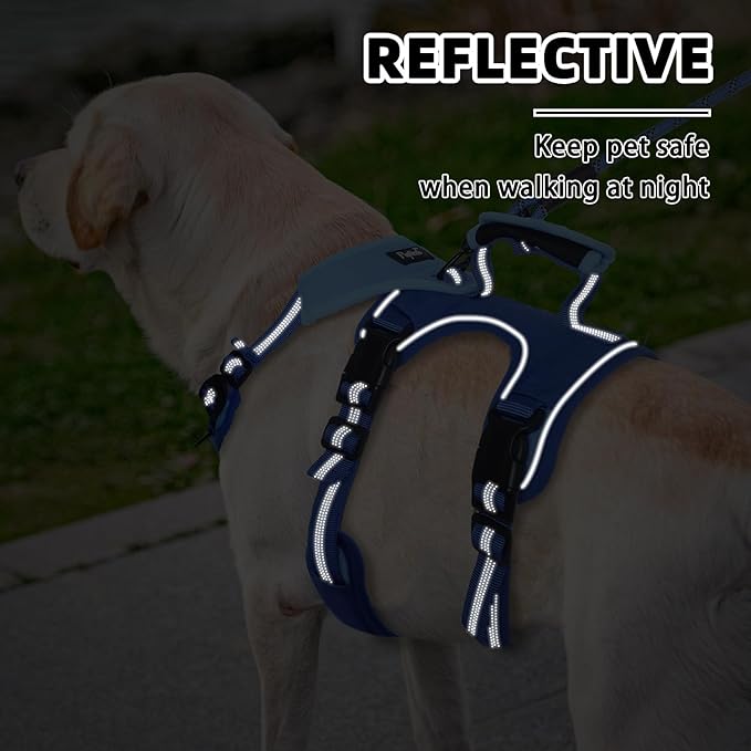 PUPTECK Escape Proof Dog Harness and Leash Set Upgraded No Pull Reflective Dog Vest with Lift Handle, Easy Control Pet Harness for Medium Large Dogs Training Walking Running, Blue, L