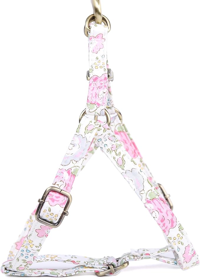 Angie and Allie Organic Cotton Personalized Step in Dog Harness,Custom Dog Halter Vests,Adjustable No Pull Canine Halter Harness for Small Medium Large Dogs