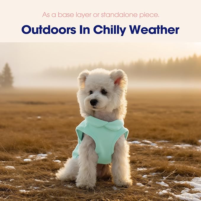 FUAMEY Dog Fleece Vest for Small Dogs,Warm Stretchy Dog Sweatshirts Pullover with Leash Hole Dogs Sweater Soft Pet Turtleneck Cozy Pet Vest Lightweight Sleeveless Blue S