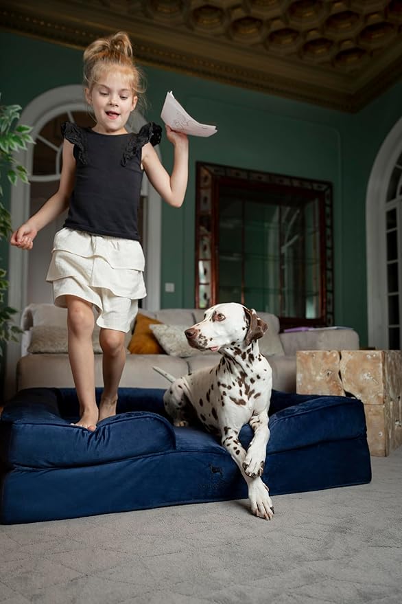 NOAH & PAW XL Dog Bed, 45x35x11 Inch, Orthopedic Large Dog Beds, Eggshell Memory Foam Infused with Cooling Gel, Inner Cover, Waterproof, Machine Washable (Denim Sofa Collection)