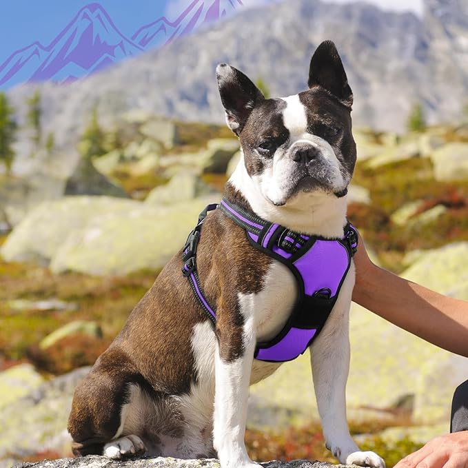 Eagloo Dog Harness Medium Sized Dog, No Pull Service Vest with Reflective Strips and Control Handle, Adjustable and Comfortable for Walking, No Choke Pet Harness with 2 Metal Rings, Purple, M