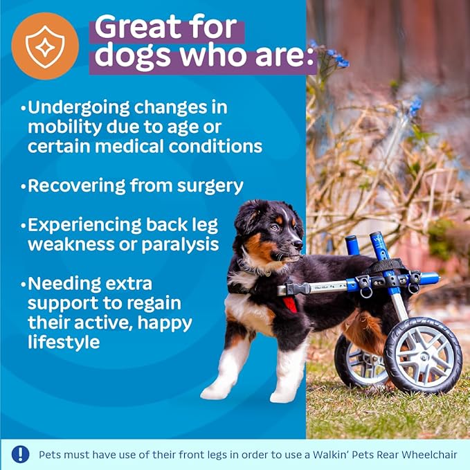 Walkin' Wheels Small Dog Wheelchair, Lightweight Dog Wheelchair for Back Legs, 11-14 lbs, for 9-13 inches Leg Height - Blue