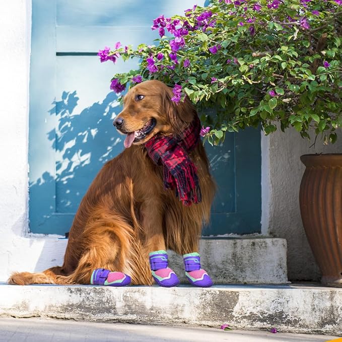 Dog Shoes for Large Small Medium Dogs, Dog Boots & Paw Protectors Breathable Dog Booties for Outdoor Hiking, Camping, Walking, Hardwood Floors Size 2