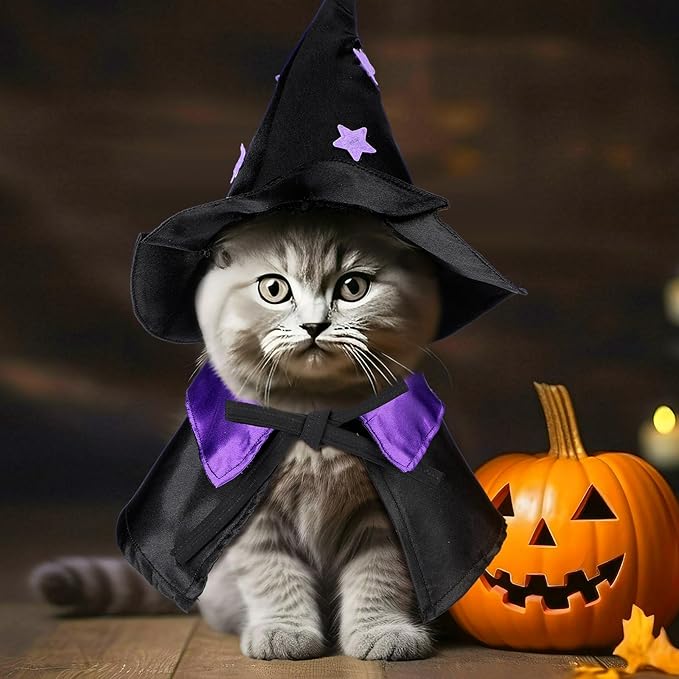 6 Pcs Halloween Pet Costume Cat Witch Halloween Costume Wizard Cat Clothes Cloak with Tutu Collar and Hat for Small Kitten Dogs Cosplay Party Decor