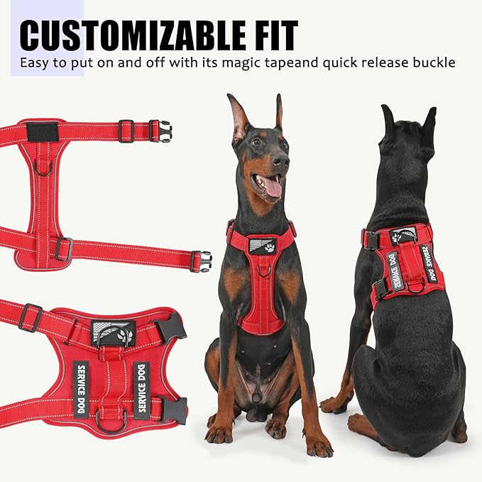 Demigreat Service Dog Harness, Reflective Dog Vest Harness with 5 PCS Patches, Adjustable Soft Oxford Pet Harness, Inner Layer Mesh, Easy to Control for Dogs (All-RED, Large (Pack of 1))