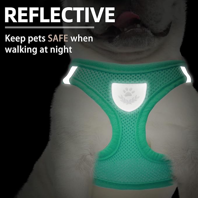 PUPTECK Adjustable Dog Harness Collar and Leash Set Step in No Pull Pet Harness for Small Medium Dogs Puppy and Cats Outdoor Walking Running, Soft Mesh Padded Reflective Vest Harnesses, Solid Green M