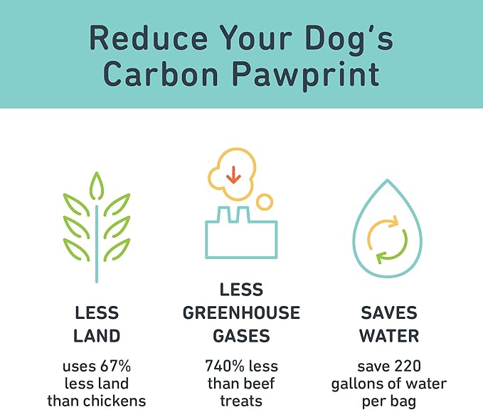 Jiminy's Crunchy Original Peanut Butter & Pumpkin Dog Treat, Hypoallergenic, Prebiotic, Tummy Friendly, Low Calorie, Alternative Cricket Protein, Sustainable, 5oz (Pack of 1)