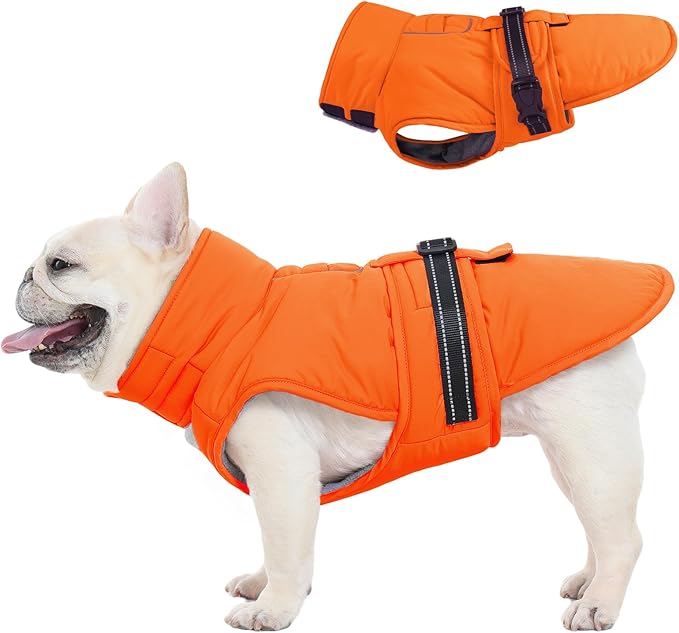 Large Dog Coat, Warm Dog Winter Jacket, Waterproof Dogs Snowsuit With Foldable High Collar, Reflective Strips, Leash Hole, And Adjustable Hook & Loop Closure - Ideal For Cold Weather - Orange L