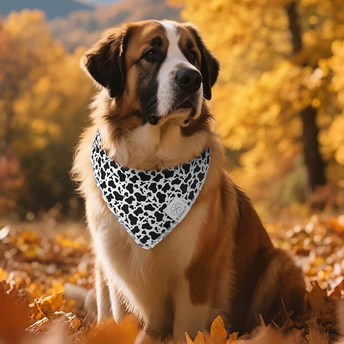 E-Clover Cow Print Dog Bandanas & Matching Scrunchie Set Fall Cowboys Theme Dog Scarf Bibs Pet Bandana with Bow Tie for Small Dogs Puppy Owner Mom Black White