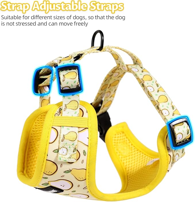 Dog Harness and Leash Set, Adjustable Dog Harness, Dog Leash, No Pull No Choke Puppy Harnesses for Walking Training for Small Medium Pet