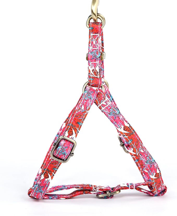 Angie and Allie Organic Cotton Personalized Step in Dog Harness,Custom Dog Halter Vests,Adjustable No Pull Canine Halter Harness for Small Medium Large Dogs
