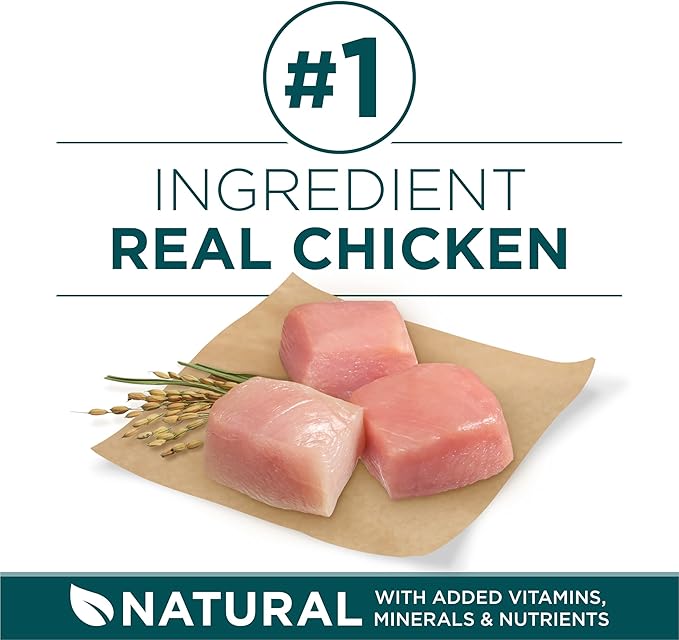 Purina ONE Plus Large Breed Puppy Food Dry Formula - 31.1 lb. Bag