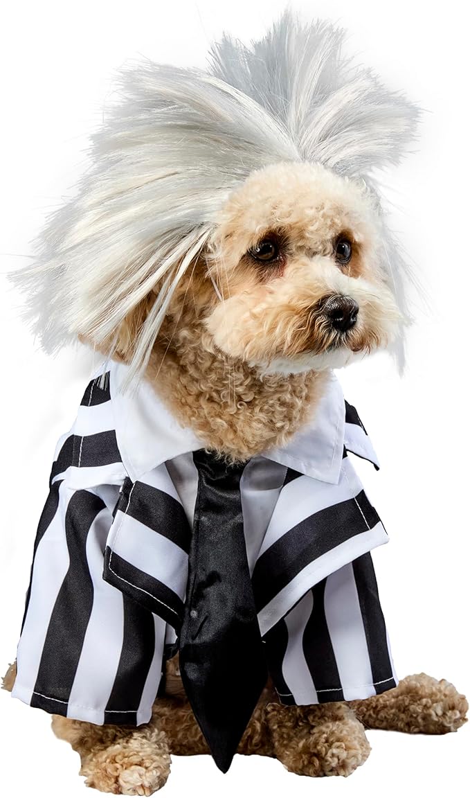 Beetlejuice: Beetlejuice Pet Costume for For Dogs or Cats by Rubies, Large