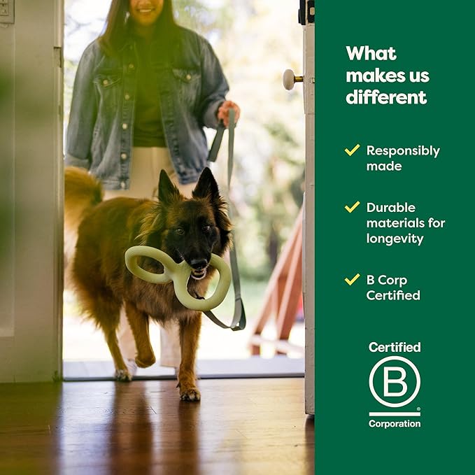 Earth Rated Tug of War Toy for Dogs and Puppies, Interactive Dog Pull Toys, Ergonomic Grip, Natural Rubber, Large, Green