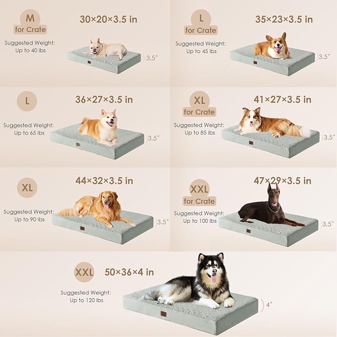 EHEYCIGA Orthopedic Dog Beds for Large Dogs with Removable Washable Cover, Greyish Green, 36x27