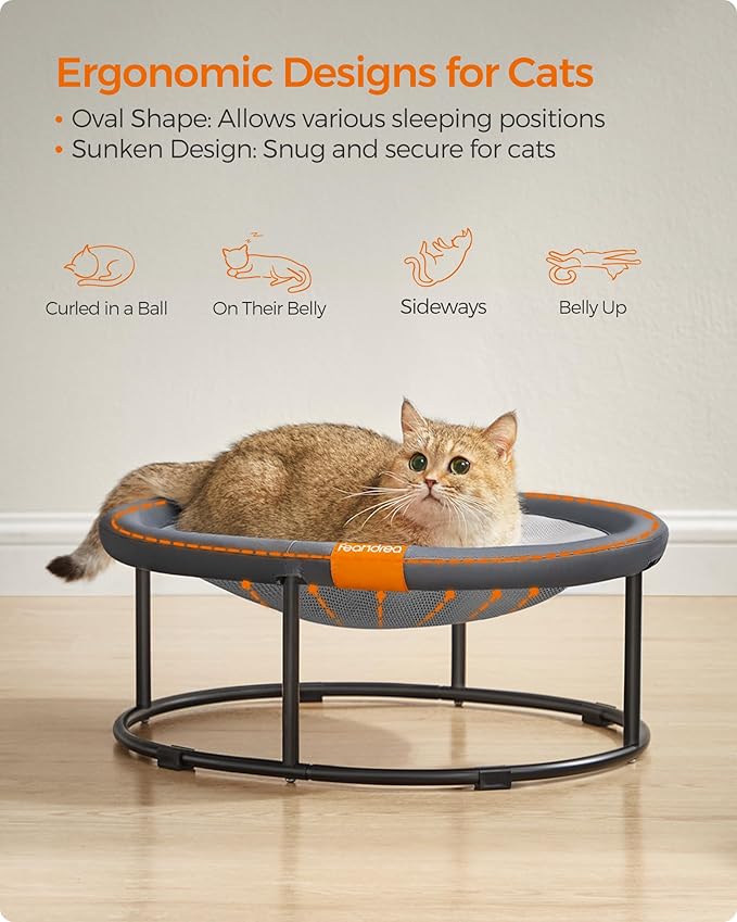 Feandrea Pet Bed, Cat Hammock, Elevated Cat Bed for Multiple Cats, with Removable Washable Mesh, for Pets up to 20 lb, Oval, Gray UPCB001G01