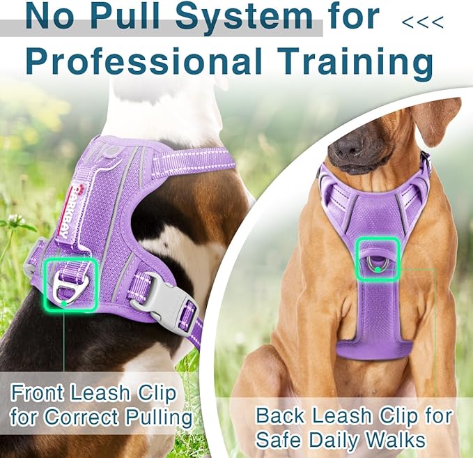 BARKBAY Dog Harness No Pull with ID Tag Pocket - Heavy Duty, Reflective, Easy Control for Small Dogs(Violet Purple,S)