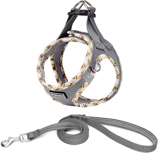 Mercano Soft Mesh Dog Harness and Leash Set, No-Chock Step-in Reflective Breathable Lightweight Easy Walk Vest Harnesses with Safety Buckle for Small Dogs, Cats (Grey, XXS)