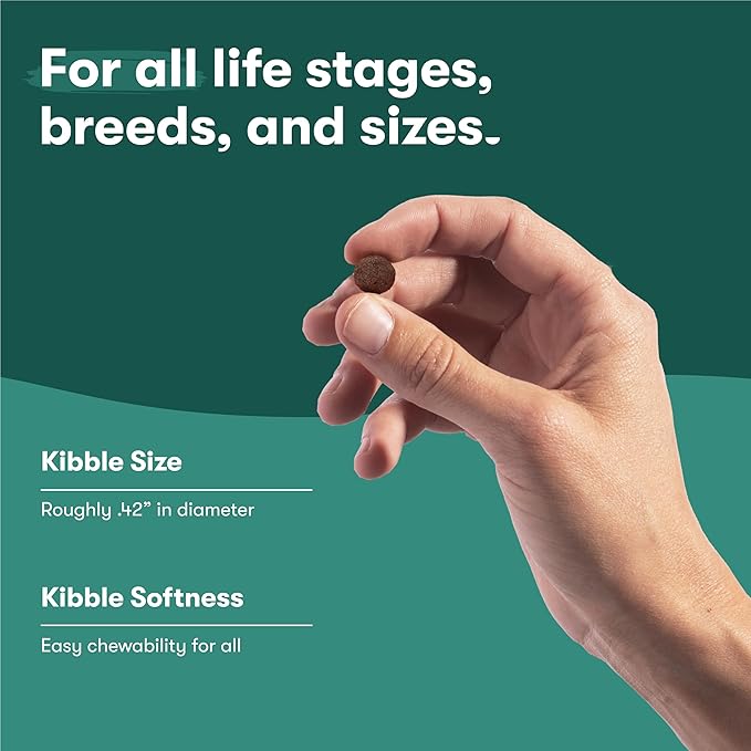 Jinx Premium Dry Dog Food, for All Lifestages - Real Beef, Brown Rice & Sweet Potato Kibble with Superfoods for Immune Support & Probiotics for Digestive Support - No Fillers - 30lb