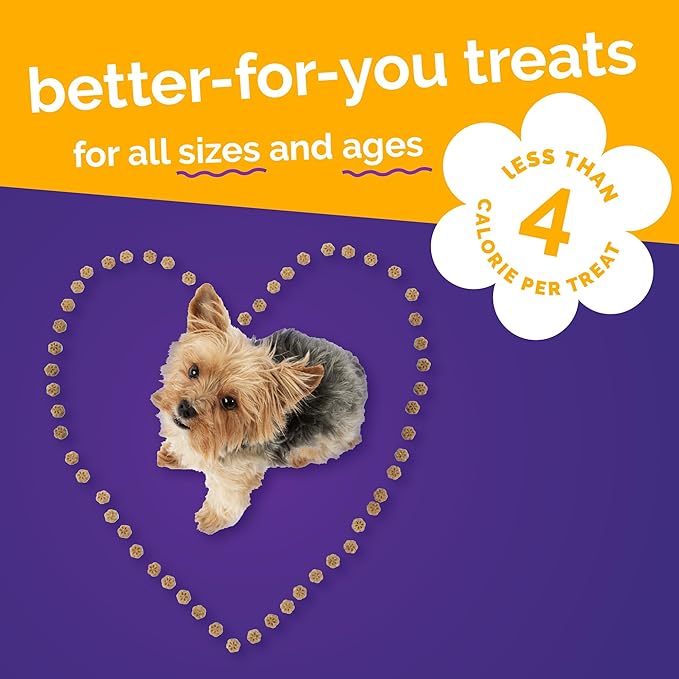 Fruitables Skinny Mini Dog Treats, Healthy Pumpkin Treat for Dogs, Low Calorie & Delicious, Puppy Training, Free of Wheat, Corn and Soy, Made in the USA, Pumpkin and Mango Flavor, 5oz