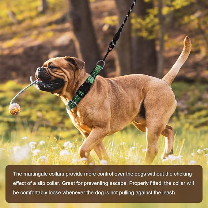 Hikiko Martingale Dog Collars Reflective Nylon Dog Collar with Quick Release Buckle Adjustable Training No Slip Dog Collar (Small, Green)